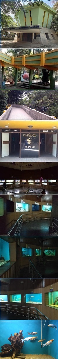 Bangalore Aquarium