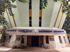 Bangalore Aquarium