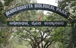 Bannergatta National Park