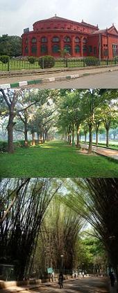 Cubbon Park