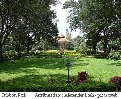 Cubbon Park