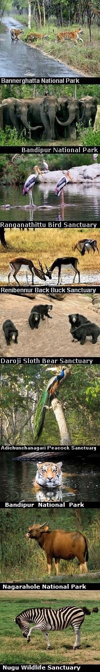 Religious Places in Karnataka